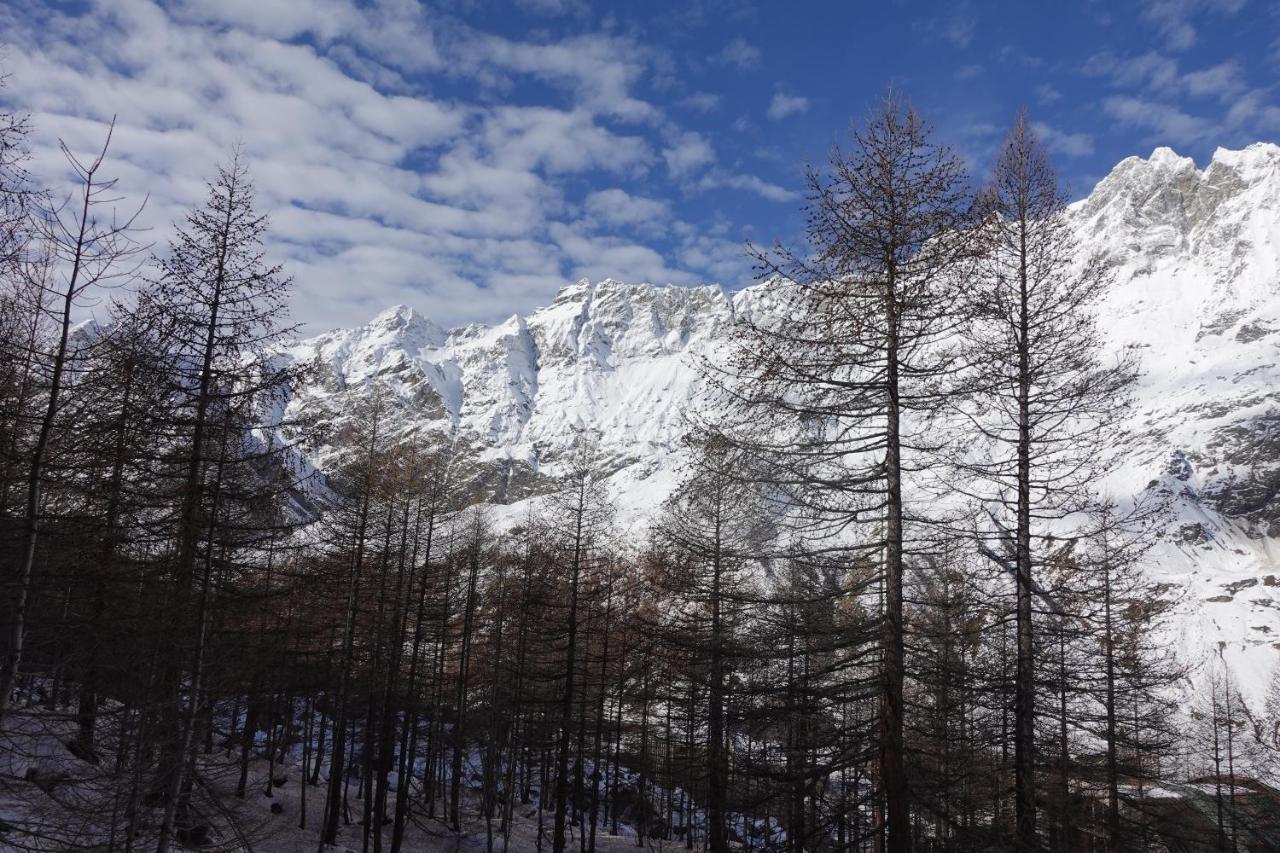 Erikzang - Cervinia Ski In Ski Out Apartments Breuil-Cervinia Dış mekan fotoğraf