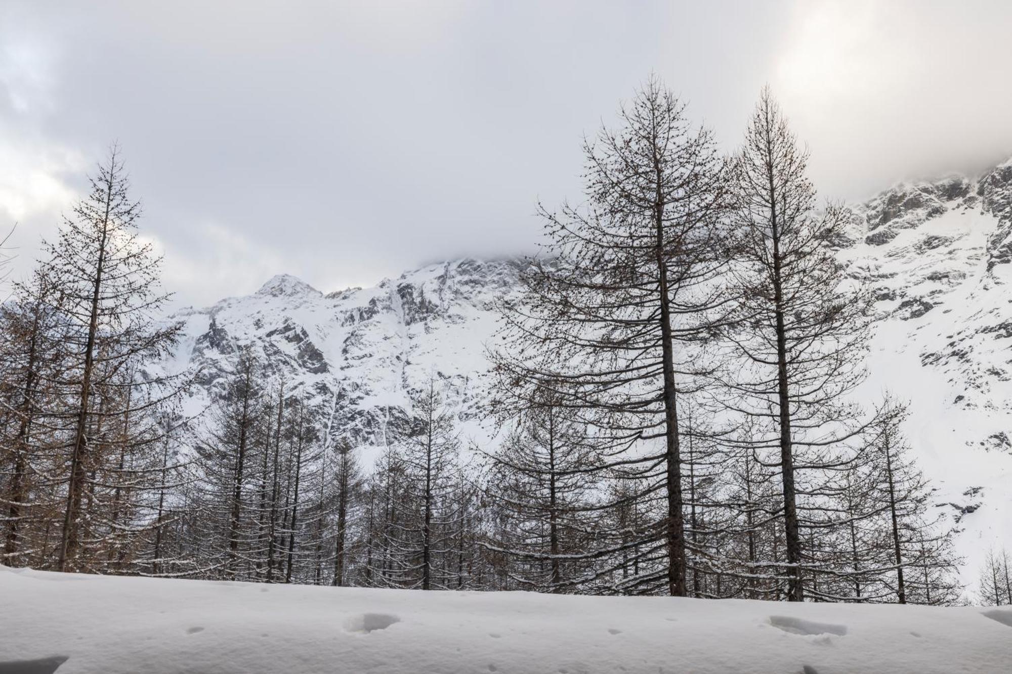 Erikzang - Cervinia Ski In Ski Out Apartments Breuil-Cervinia Dış mekan fotoğraf
